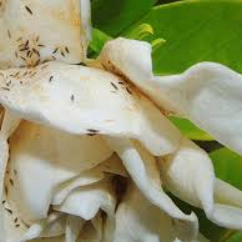 BİBERDE ÇİÇEK TRİPSİ İLE MÜCADELE YÖNTEMLERİ | ÇÖZÜMLERİ