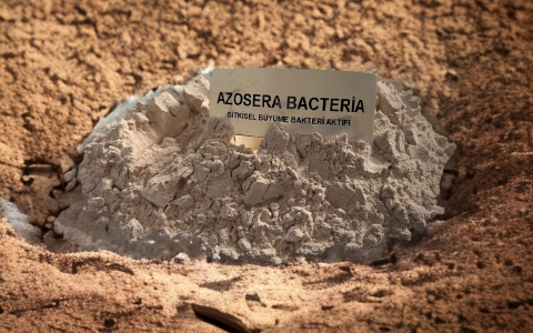 AZOSERA BACTERIA